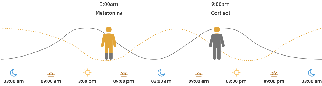 La luz artificial enloquece nuestro reloj interno